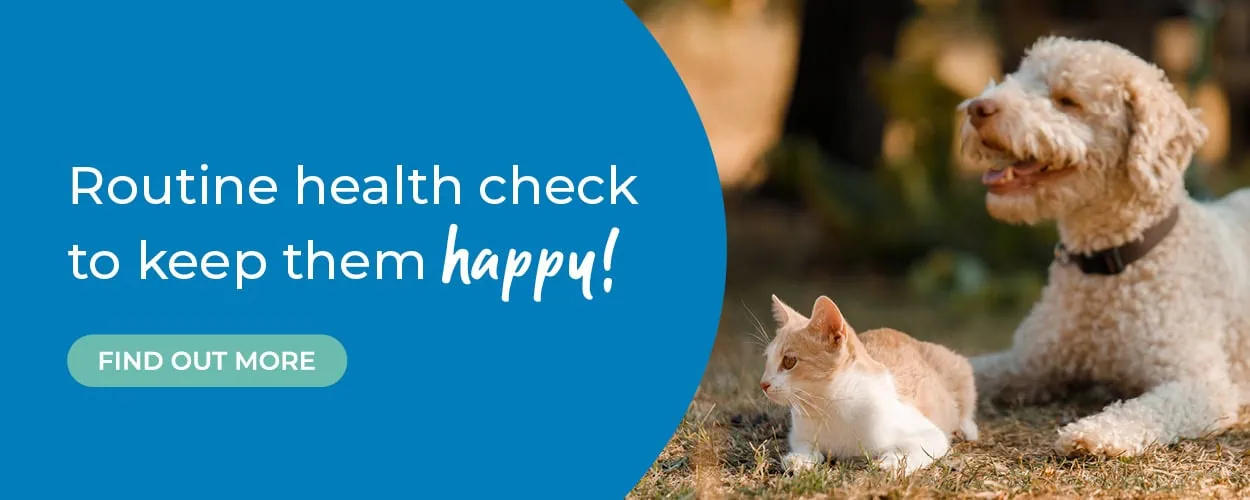 Crofts Veterinary Surgery Haslemere | Vets Near Me Surrey