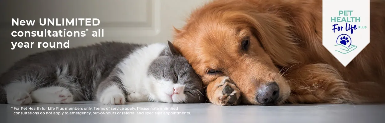 Pet Health For Life Plans In Haslemere | Crofts Vets Surrey