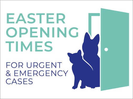 Crofts Vets Easter Opening Times
