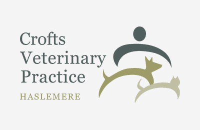 Crofts vets in Haslemere, Surrey