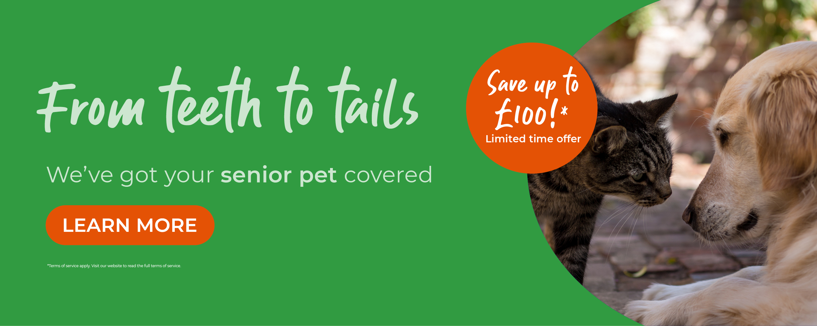 Crofts Veterinary Surgery | Vets Near Me Surrey