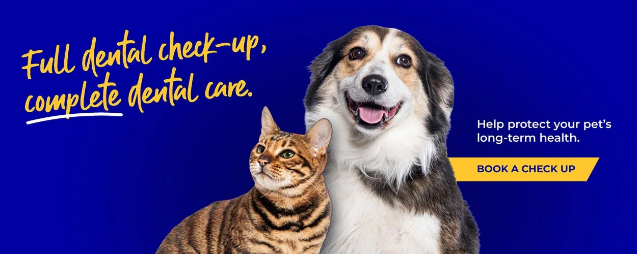 Crofts Veterinary Surgery Haslemere | Vets Near Me Surrey