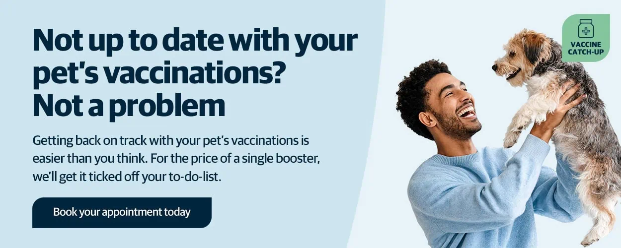 Crofts Veterinary Surgery Haslemere | Vets Near Me Surrey
