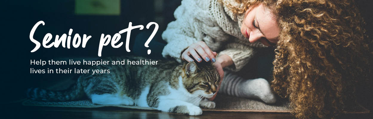 Older Cats & Dogs | Care and Treatments | Crofts Vets